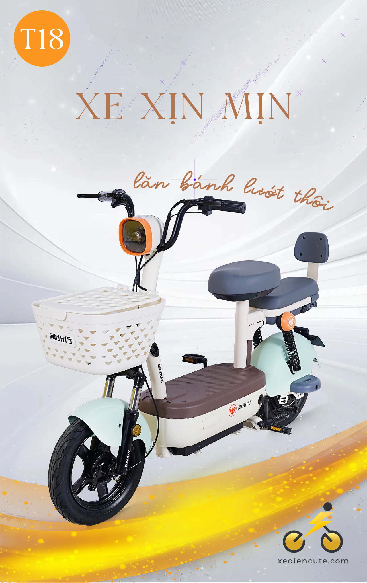 xe đạp điện T18